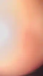 Watch videos Amateur Cute Female by the cool model Laci Witton 🦋’s (@loverlaci)