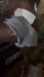 Watch videos Ass Amateur Big Ass by the cool model Carol Carioca ☀️’s (@nofacebrazilian)