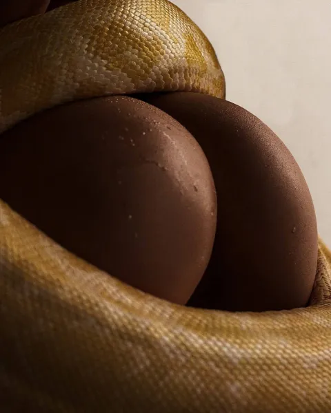 ass-big-ass-booty-1837