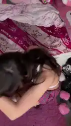 Watch videos Booty Femboy Femme by the cool model valentina <3’s (@sexxxgrrl)